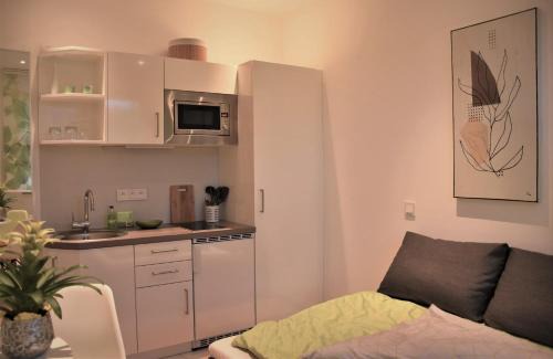 Neuhausel Apartamento | Appartement du Rhin