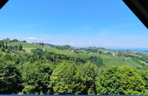 Kitzeck im Sausal Apartamento | Appartement Fernblick