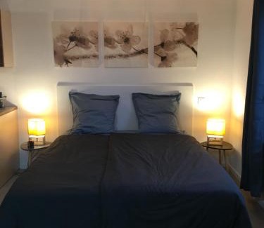 Niederbronn-les-Bains Apartamento | Appartement tout confort, avec terrasse