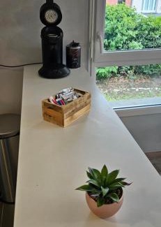 Saint-Andre-lez-Lille Apartamento | Appartement 2 chambres avec terrasse et garage