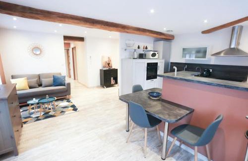 Saint-Just-la-Pendue Apartamento | Appartement chaleureux cosy et climatisé Karine hospitality