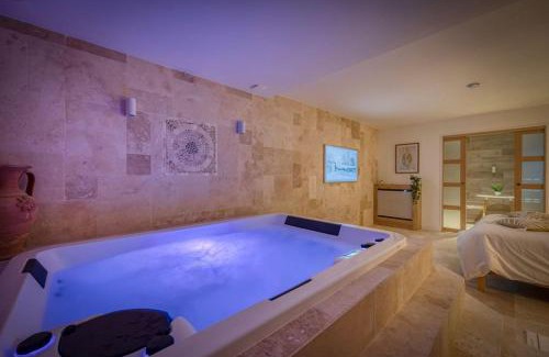 Saint-Martin-d'Heres Apartamento | Appartement luxueux avec jacuzzi