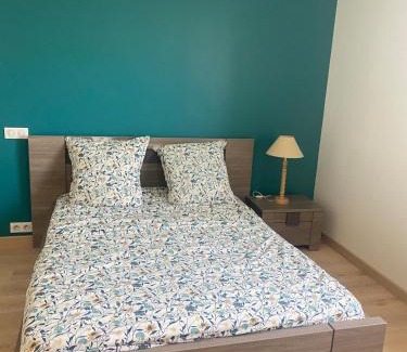 Yssingeaux Apartamento | Appartement