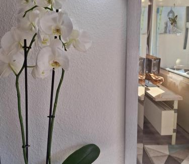Bad Wildbad Apartamento | Appartement Herrlich