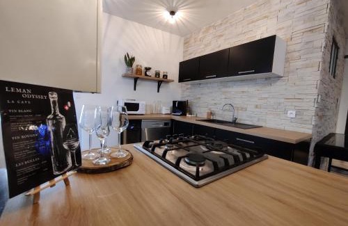 Evian-les-Bains Apartamento | Appartement Hyper Centre Evian - Leman Odyssey