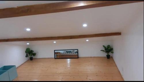 Pibrac Apartamento | Appartement La Paix