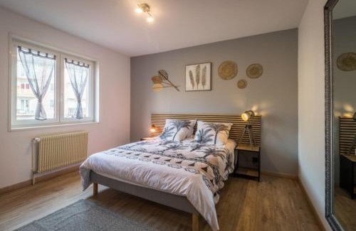 Saverne Apartamento | Appartement Le Saver'Zaru, centre ville, T2 55m²