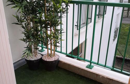 La Roche-Posay Apartamento | Appartement meublé avec balcon - Animaux admis, WiFi - FR-1-541-146