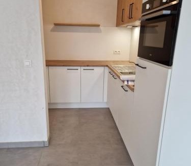 Wachtebeke Apartamento | Appartement Minne