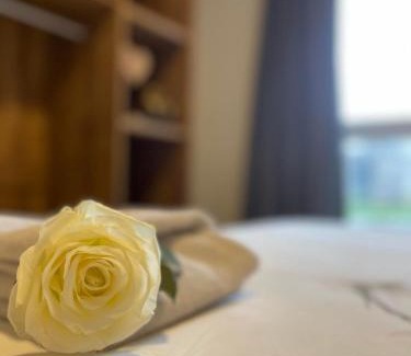 Wachtebeke Apartamento | Appartement Minne