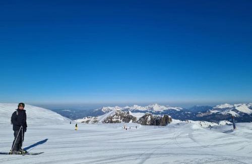 Hirmentaz Apartamento | appartement montagne la vallée verte cœur station Hirmentaz