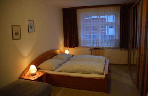 Zell am See Apartamento | Appartement Mooslechner