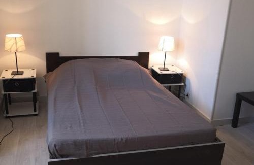 La Roche-Posay Apartamento | Appartement rénové face aux Thermes, wifi, animaux OK, cour privée, pour 3/4 pers. à La Roche-Posay - FR-1-541-36