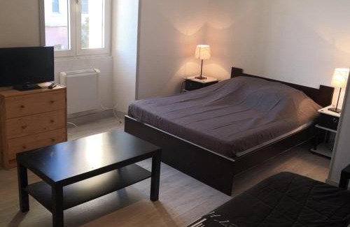 La Roche-Posay Apartamento | Appartement rénové face aux Thermes, wifi, animaux OK, cour privée, pour 3/4 pers. à La Roche-Posay - FR-1-541-36