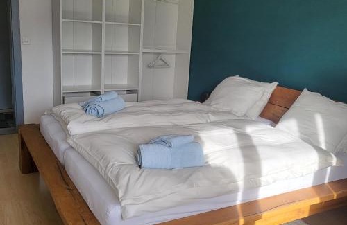 Randogne Apartamento | Appartement Randogne avec grande terrasse