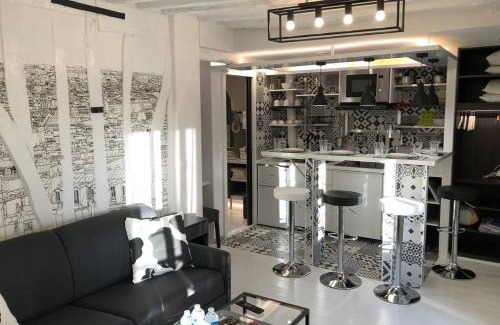 Quartier de l'Ecole-Militaire Apartamento | Appartement Rousselet Quartier Bon Marché Paris VIIème