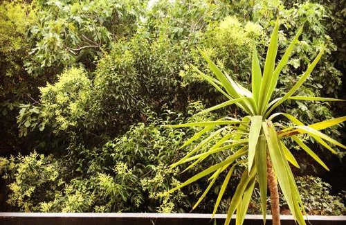 Gares Apartamento | Appartement spacieux à Montpellier avec jardin, 78 m²
