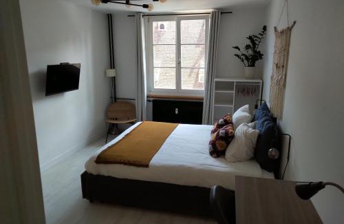 City-Centre - Petite France Apartamento | Appartement Spacieux et Cosy - Strasbourg Centre