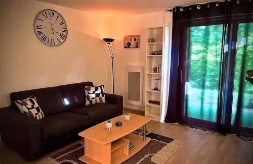 Klingenthal Apartamento | Appartement studio