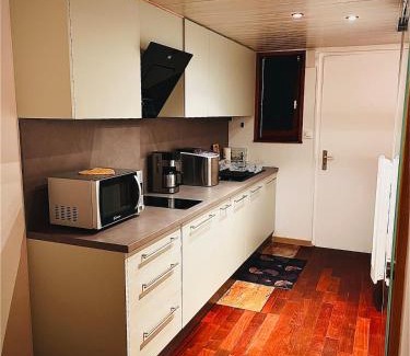 Klingenthal Apartamento | Appartement studio