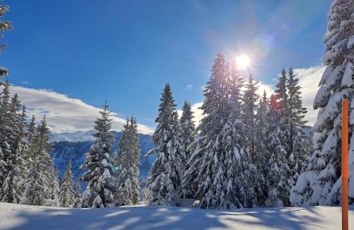 Schwarzach im Pongau Apartamento | Appartement Tauernlife