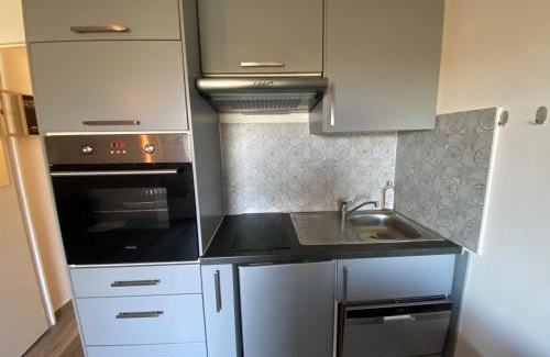 La Roche-Posay Apartamento | Appartement T2 avec terrasse et Wi-Fi proche des Thermes du Connétable - FR-1-541-125