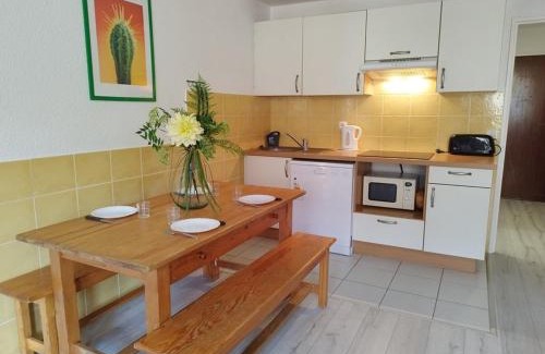 Orcieres-Merlette Apartamento | Appartement T2 cabine pour 8 pers, ski aux pieds, bien équipé, proche commerces et sports - FR-1-262-137