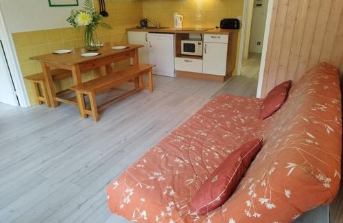 Orcieres-Merlette Apartamento | Appartement T2 cabine pour 8 pers, ski aux pieds, bien équipé, proche commerces et sports - FR-1-262-137