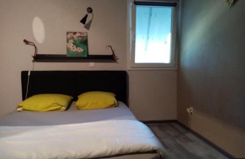 Vieille-Brioude Apartamento | Appartement terrasse +parking