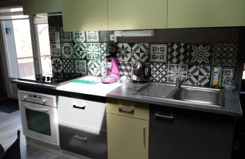 Vieille-Brioude Apartamento | Appartement terrasse +parking
