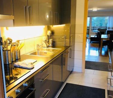 Randogne Apartamento | Appartement traversant secteur Violettes