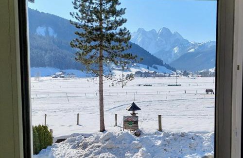 Gosau Apartamento | Appartement Twin Peak Edelweiss