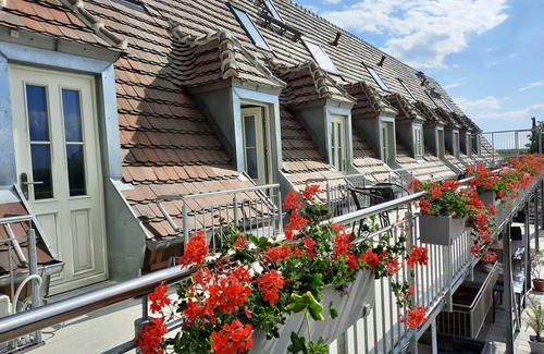Senftenberg Casa | Appartment 7 - Seenlandoase Reppist
