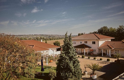 Mainz-Bingen Casa | Appartment mit Panorama Blick