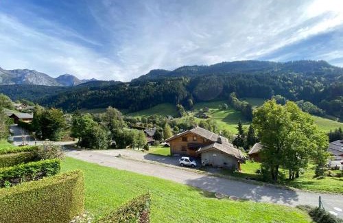 Le Grand-Bornand Apartamento | Appt 2 pièces, 6 couchages, 900m télécabine, parking - FR-1-241-52