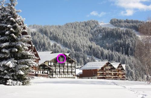 Les Saisies Apartamento | Appt 4/5 pers. Les Saisies front de neige