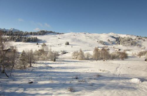 Les Saisies Apartamento | Appt 4/5 pers. Les Saisies front de neige