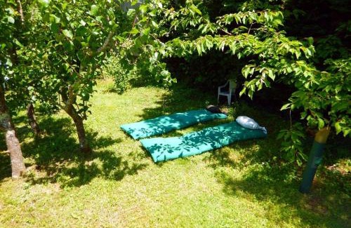 La Terrasse Apartamento | Appt Independant 4 5 ou 6 personnes piscine direct gare ou aeroport Jardin Piscine