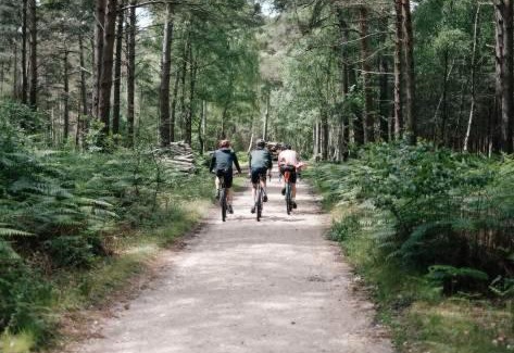 New Forest District Casa | April Cottage, luxurious accommodation for coast and forest with pool & hot tub