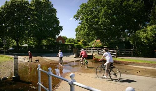 New Forest District Casa | April Cottage, luxurious accommodation for coast and forest with pool & hot tub