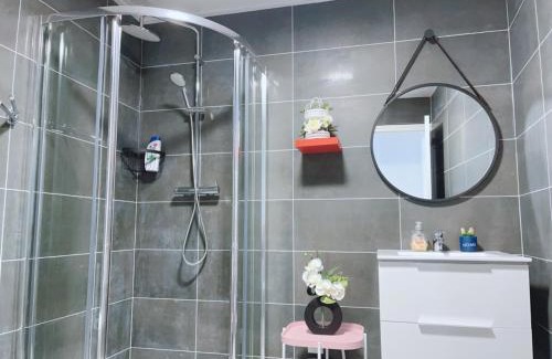 Fontenay-le-Comte Apartamento | Apt 67m2 hyper centre: 2 chambres, cuisine TV wifi