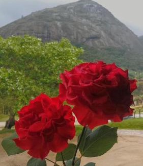 Bonito Apartamento | Apt Flat 225 Condomínio Pedra do Rodeadouro