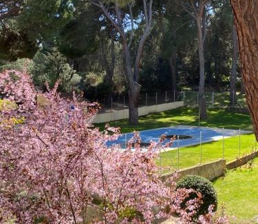 San Martin de Valdeiglesias Apartamento | Apt Romántico con chimenea con Fibra óptica y terraza