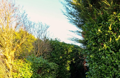 Finchley Church End Apartamento | Apt w/ Garden Oasis in Finchley