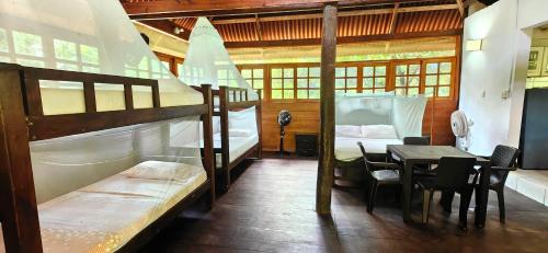 Palomino Apartamento | apto cabaña
