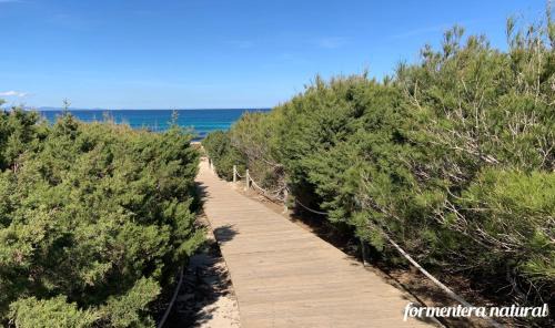 Calo de Sant Agusti Apartamento | Apto Mar de Es Caló, a metros de la playa - Formentera Natural