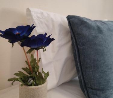 Kariotai Apartamento | Aqua Apartment