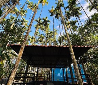 Kushalnagar Casa | Aqueduct Retreat