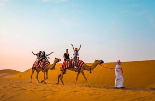Madinat Zayed Alquiler De Eote | Arabian Adventure Trip