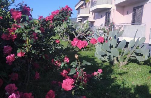 Mascali Villa | aranceto dell'Etna